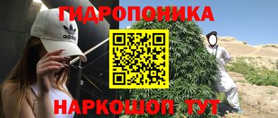 стафф Лесосибирск